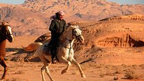 Arabian Horseback Desert and Sea