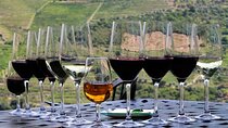Douro Valley Wine Tour with 2 wineries, Lunch and Cruise option
