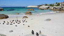 Hoedspruit Multi-Day Cape Town Tour 
