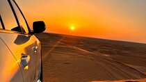 Sunrise Desert Safari with Wildlife Experience in Dubai