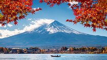 Mt. Fuji and Hakone Cultural Tour with Licensed Guide