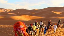 2 Day Sahara Desert Experience 