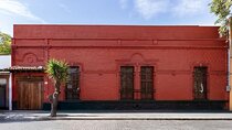 Frida Kahlo Museum (Red House) Tour