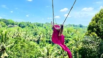 Bali Taman Grya Beji Waterfall and Jungle Swing Private Tour
