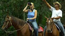 Tulum Jungle Horseback, Cenote & Turtle Swim