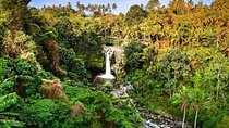 Bali Full-Day Private Tour: Waterfall, Volcano & Hot Springs
