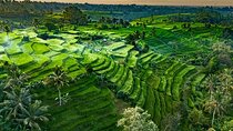From Bali: Private Tour to Taman Ayun & Jatiluwih Rice Terraces