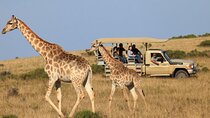 5 Day Garden Route Road Trip from Cape Town Addo Safari Caves