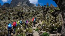 Nairobi to Mount Kenya Full Day Private Tour