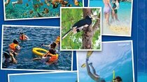Phuket Sightseeing Raya and Coral Island Full Day By Speedboat