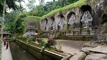 Bali: Private Tour to Tirta Empul, Elephant Cave & Cliff Temples