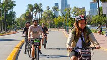 Palermo and Recoleta Private Experience by bike with Local Host