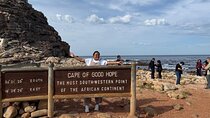Explore Cape Point & Penguins: Half Day Guided Group Experience
