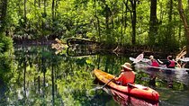 Silver Springs Orlando, Manatee, Kayaking Small Group-Max 14 Tour