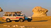 2-Day White & Black Desert and Oasis Tour from Cairo with Camping