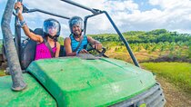 Bamboo Rafting, Zipline, Tubing + FREE Dune Buggy Tour
