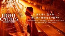 Light Cycles Kyoto Ticket