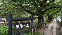 Peaceful Kyoto Walking Tour