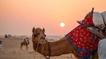 Pushkar Day Trip from Jaipur with Sunset and Aarti