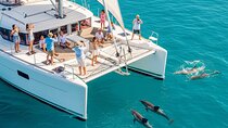 MIAMI: Key West Dolphin Watch Tour and other options