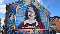 Best of Belfast Driving Taxi Tour with Political Murals