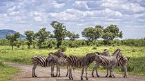Kruger National Park and Panorama Route 4 Day Adventure