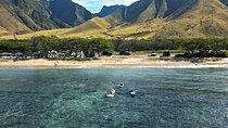Lahaina Ukumehame Beach Private Surf Activity