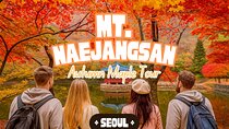 Naejangsan National Park Autumn Foliage One Day Tour from Seoul