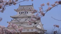 Himeji Castle Cherry Blossom Tour