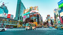 10-Day Private Tour of Tokyo, Hakone, Kyoto and Osaka