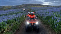 Twilight ATV Adventure from Reykjavik