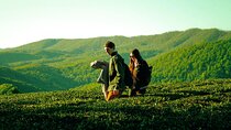 Full-Day Cameron Highlands Nature Tour (Private)