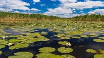 PREMIUM TOUR small group: The Heart of Danube Delta day trip