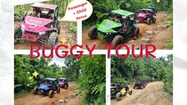 ATV, Buggy, UTV, Zipline