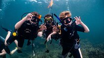  Scuba Diving in muscat 