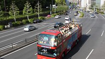 Hop-On Hop-Off Tokyo Bus by Skyhop Bus