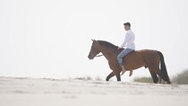Beach Horseback Riding Adventure