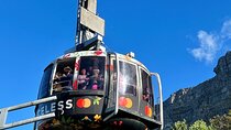 Cape Town Table Mountain Cape Point Penguins Full-Day Private Tour