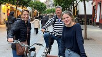 Private Seville Electric Bicycle Tour with a Local Guide