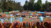 Private or Shared Tour Xochimilco Coyoacán and Frida Kahlo Museum