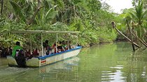 Damas Island Mangrove Boat Adventure