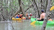 Damas Island Mangrove Kayak Adventure