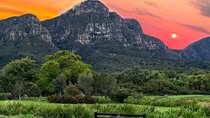 Kirstenbosch to Constantia Valley Wine Walk