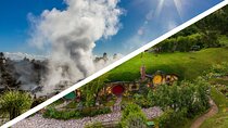 Hobbiton & Rotorua Small Group Day Tour inc Te Puia from Auckland