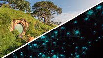 Auckland to Rotorua, Hobbiton and Waitomo 1 Way Small Group Tour