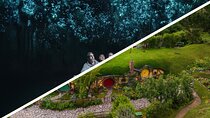 Hobbiton & Waitomo Caves Small Group Tour from Auckland inc Lunch