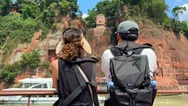 Panda and Leshan Buddha Private Tour