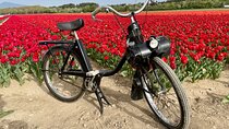 Solex tour and tasting at Domaine les Aphillanthes
