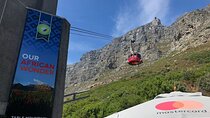 Cape Town Table Mountain, Kirstenbosch, and Constantia Tour