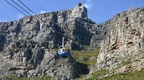 Table Mountain and Cape of Good Hope Tour